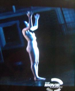 Sasha Higgins