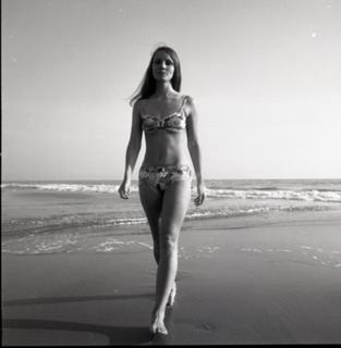 Susan Foster