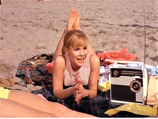 Cindy Carol