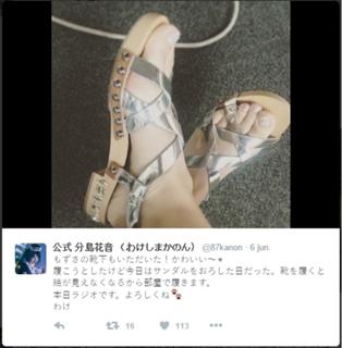 Kanon Wakeshima
