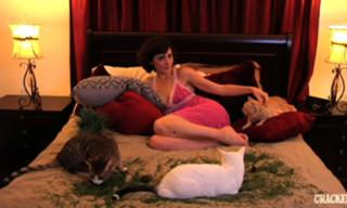 Katy Stoll