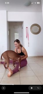 Viki Halme