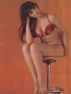 Zulma Faiad