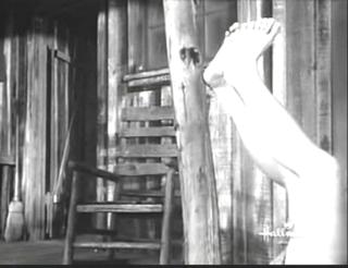 Sharon Farrell