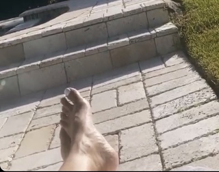 Miami Tip
