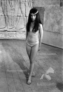 Ewa Krzyzewska