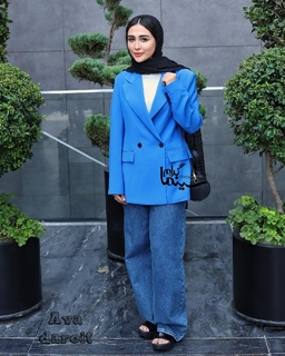 Setareh Hosseini