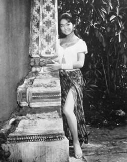 Judy Dan