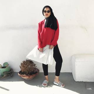 Dina Torkia