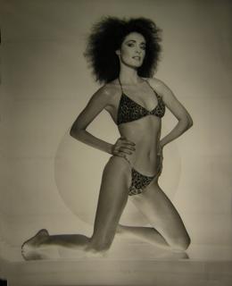 Cynthia Sikes