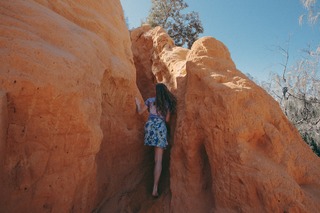 Ellen Burbidge