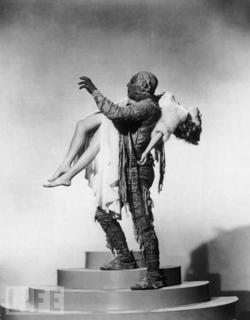 Elyse Knox