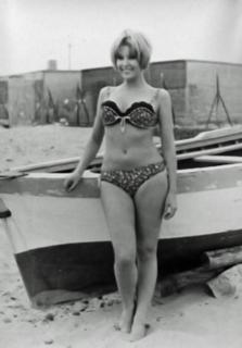 Dominique Boschero