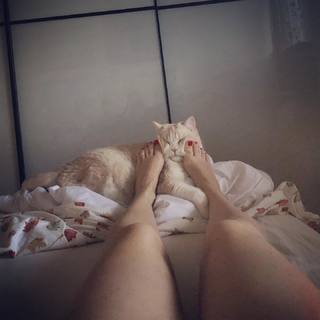Carla Carfagna