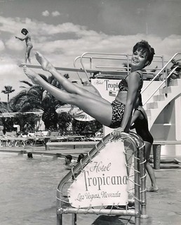 Sharon Lee
