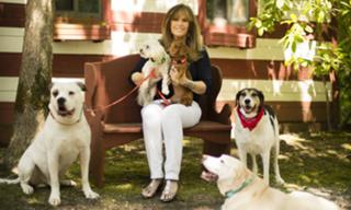 Jill Rappaport