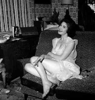 Carol Haynes