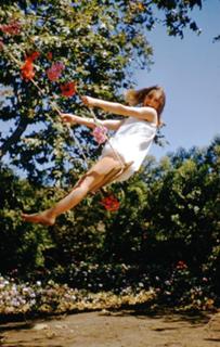 Patricia Knox