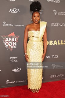Bisi Akins