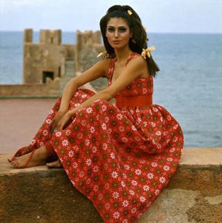 Benedetta Barzini
