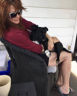Lynda Boyd