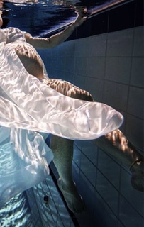 Carly Rees