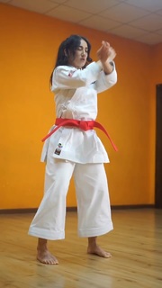Terryana D'Onofrio