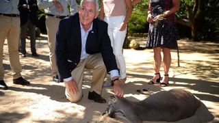 Karen Pence